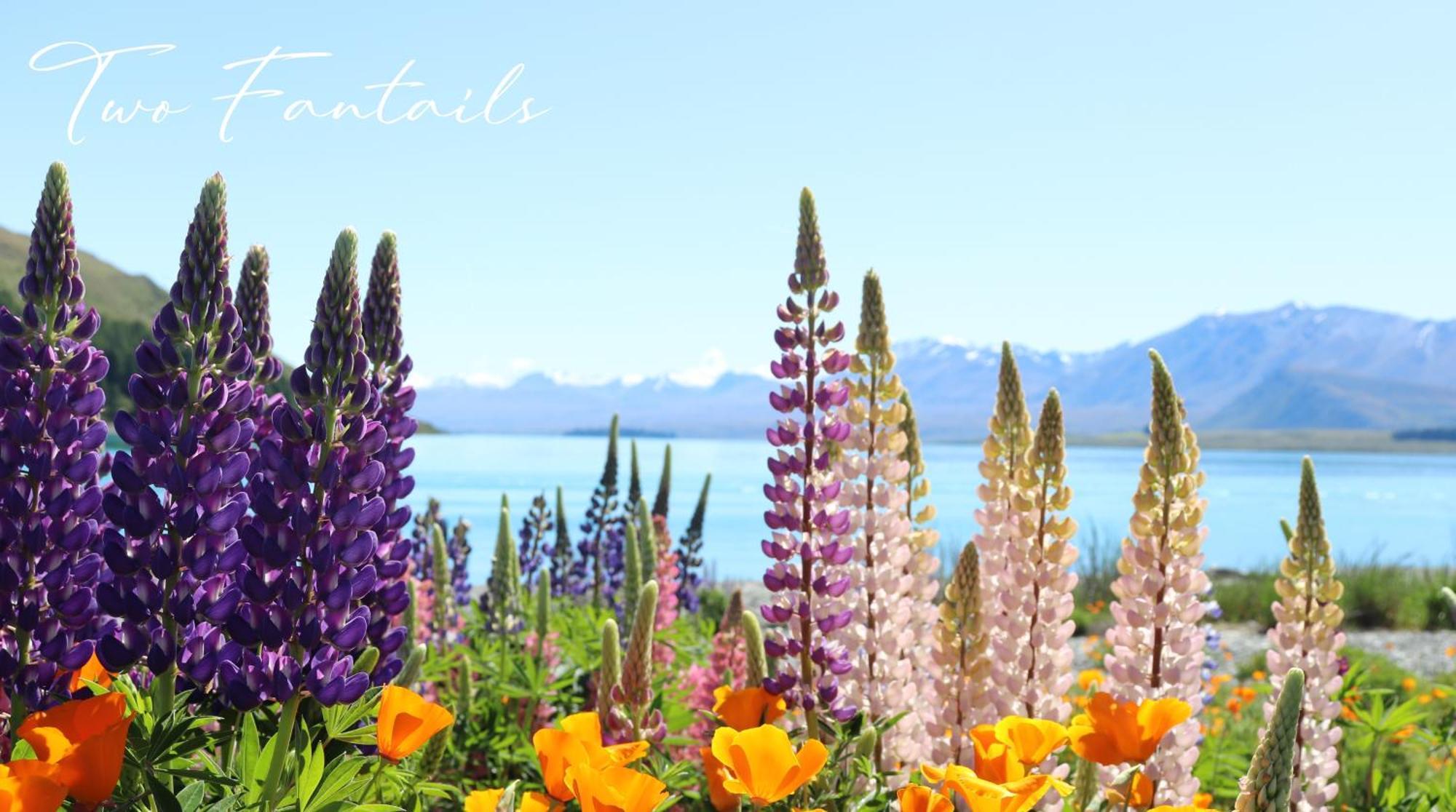 Two Fantails - Mountain Views Vila Lake Tekapo Exterior foto